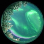 aurora