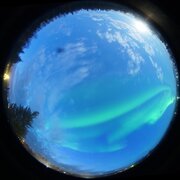aurora