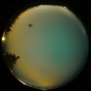 aurora