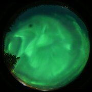 aurora