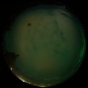 aurora