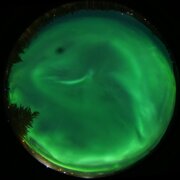 aurora