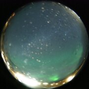 aurora