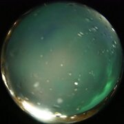 aurora