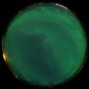aurora