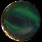 aurora