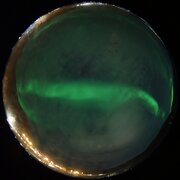 aurora