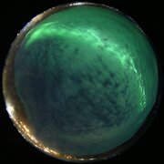 aurora