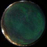 aurora