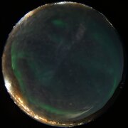 aurora