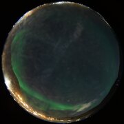 aurora