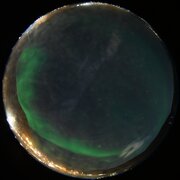 aurora