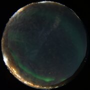 aurora