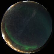 aurora