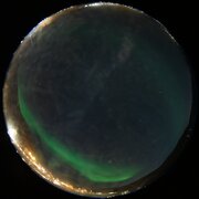 aurora