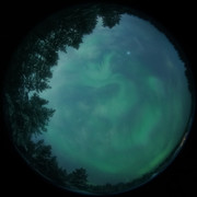 aurora