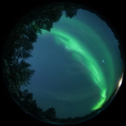 aurora