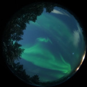 aurora