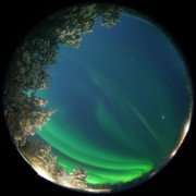 aurora