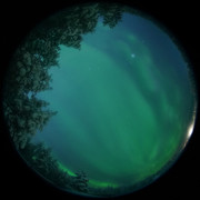 aurora