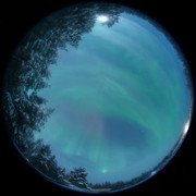aurora