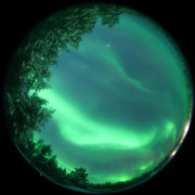 aurora