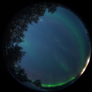 aurora