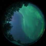 aurora