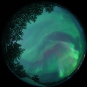 aurora