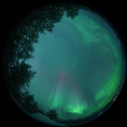 aurora