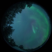 aurora