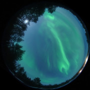 aurora