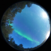 aurora