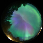 aurora