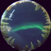 aurora