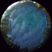 aurora