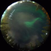aurora