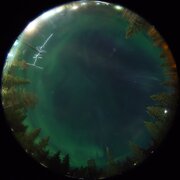 aurora
