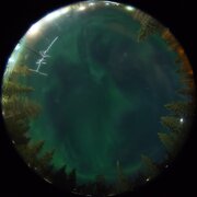 aurora