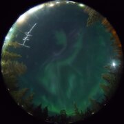 aurora