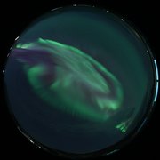 aurora