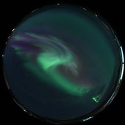 aurora