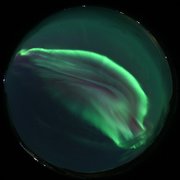 aurora