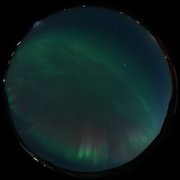 aurora