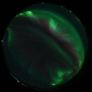 aurora