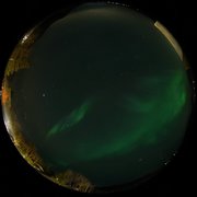 aurora