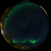 aurora