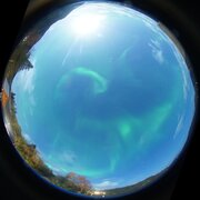 aurora
