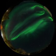 aurora