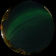 aurora